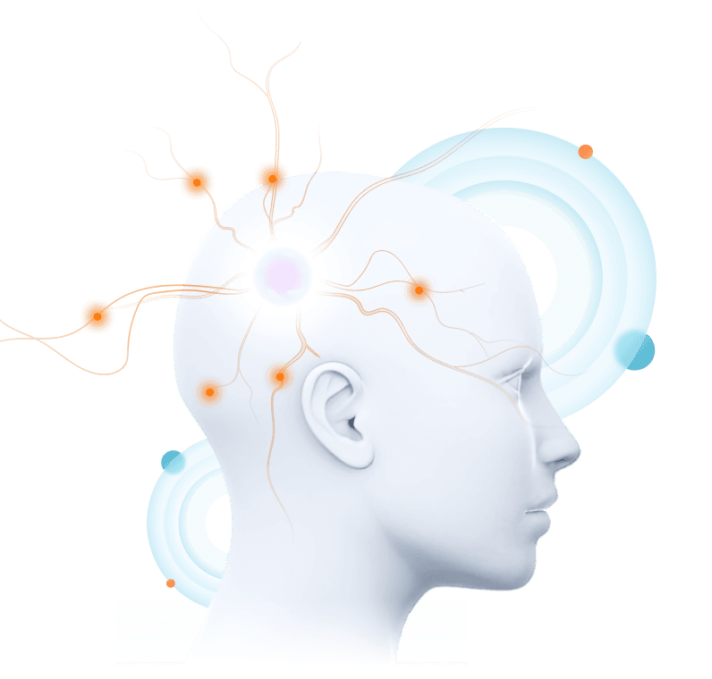 brain learning visual